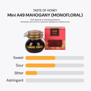 
                  
                    (M)A49 Mahogany (3 Bottles)
                  
                